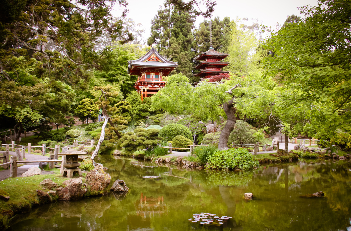 japanese tea garden